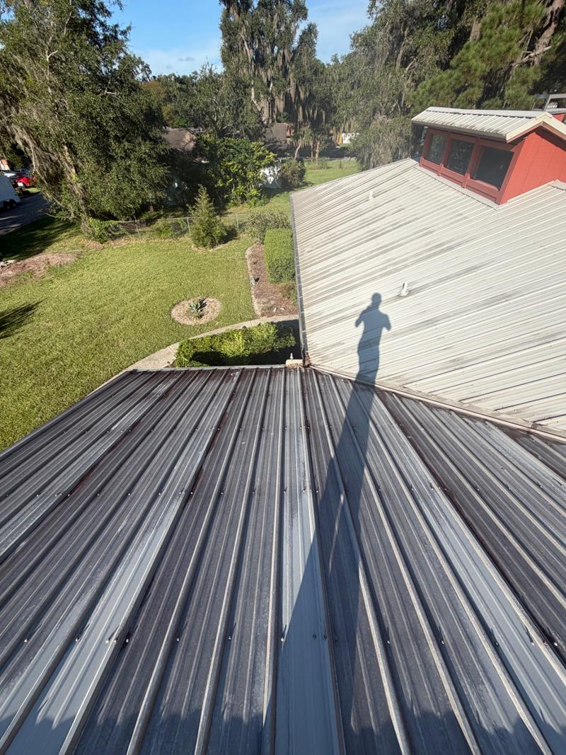 Metal roof panels dark grey with grime and algae, seen from the ridge looking down toward the lawn