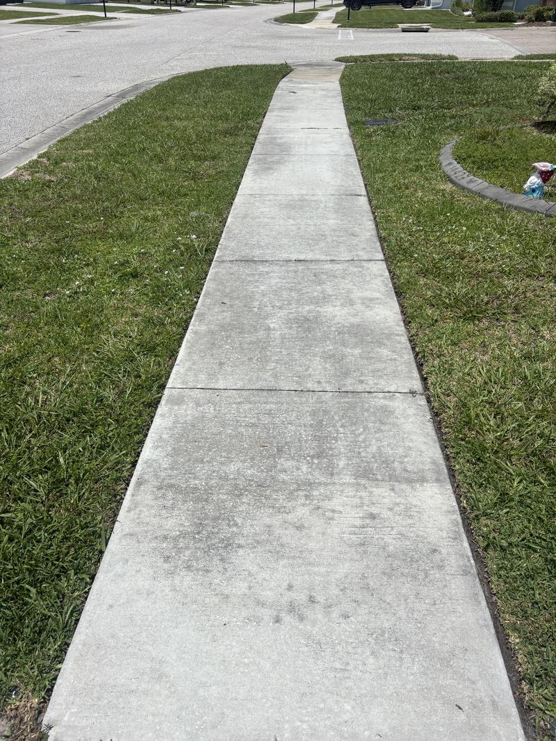 Front walkway darkened by algae before pressure washing