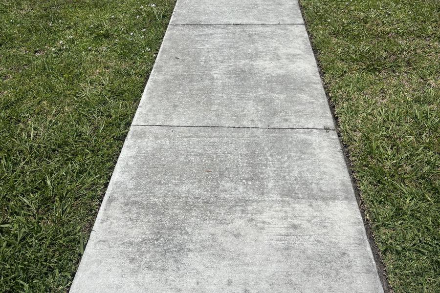 Concrete walkway in Pasco County darkened by algae before pressure washing